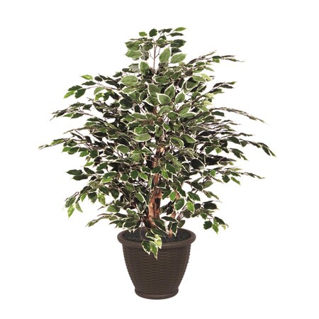 Dare2Decor 4 ft. Variegated Extra Full in Plastic Container Decorative Plant, Green & White DA3903375